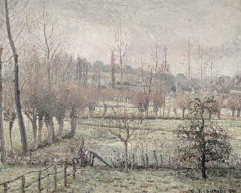 Obraz na płótnie Snow Effect at Eragny, 1894