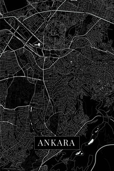 Obraz na płótnie Ankara black