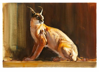 Obraz na płótnie Arabian Caracal, 2010