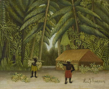 Obraz na płótnie Banana Harvest, 1907-10