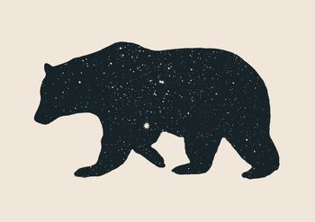 Obraz na płótnie Bear
