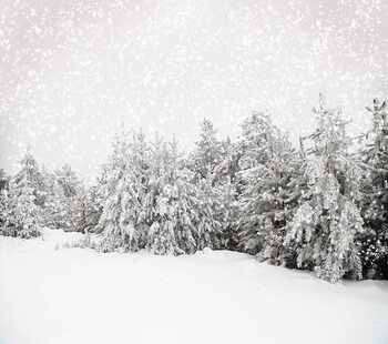 Obraz na płótnie Beautiful winter landscape with snow covered trees