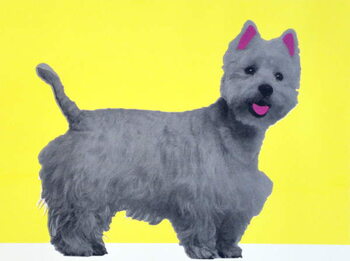 Obraz na płótnie Bestie Westie, 2015,