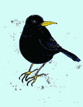 Obraz na płótnie Blackbird,2008