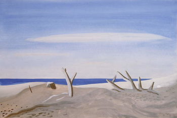 Obraz na płótnie Bois Flottes du Grand Radeau, 1987