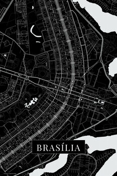 Obraz na płótnie Brasilia black