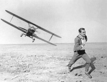 Obraz na płótnie Cary Grant