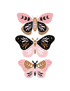 Obraz na płótnie Celestial butterfly vector illustration.