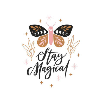Obraz na płótnie Celestial butterfly vector illustration.
