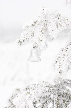 Obraz na płótnie Christmas ornament