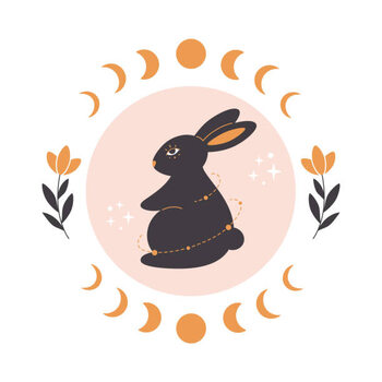 Obraz na płótnie Cute rabbit with astrology, botany and