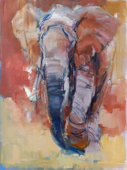 Obraz na płótnie Elephant, 2018