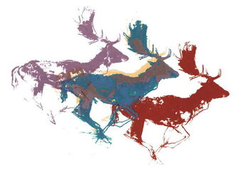 Obraz na płótnie Fallow Bucks (three), 2015