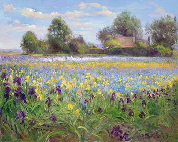 Obraz na płótnie Farmstead and Iris Field, 1992