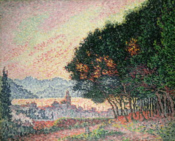 Obraz na płótnie Forest near St. Tropez, 1902