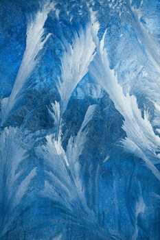 Obraz na płótnie Frosty pattern on transparent background. Background