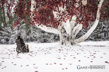 Obraz na płótnie Game of Thrones - Weirwood