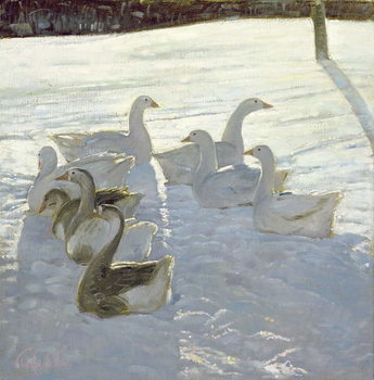 Obraz na płótnie Geese Against the Light