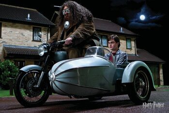 Obraz na płótnie Hagrid's Motorbike