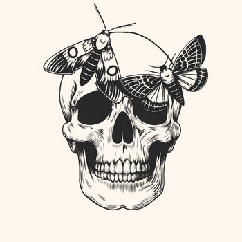 Obraz na płótnie Hand drawn human skull head butterfly