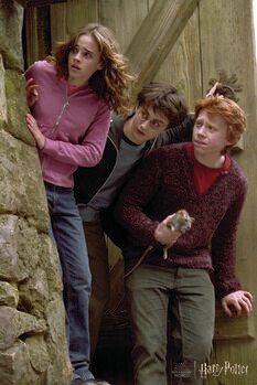 Obraz na płótnie Harry Potter - Famous trio