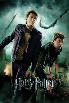 Obraz na płótnie Harry Potter - Fred and George