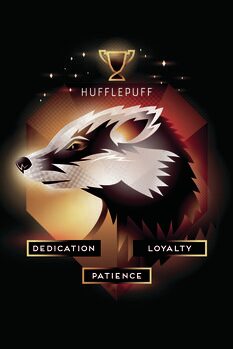 Obraz na płótnie Harry Potter - Hufflepuff