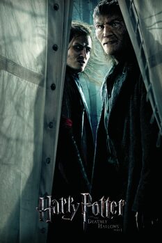 Obraz na płótnie Harry Potter - Snatchers