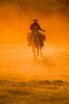Obraz na płótnie Horseback rider