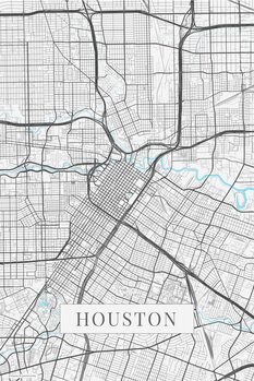 Obraz na płótnie Houston white