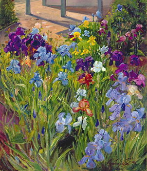 Obraz na płótnie Irises and Summer House Shadows, 1996