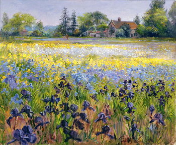 Obraz na płótnie Irises and Two Fir Trees, 1993