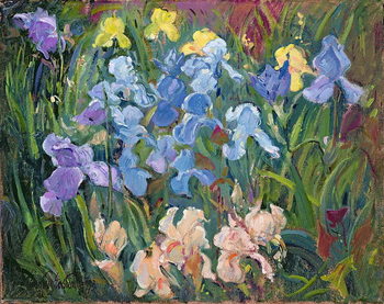 Obraz na płótnie Irises: Pink, Blue and Gold, 1993