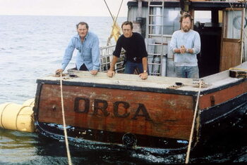 Obraz na płótnie Jaws by Steven Spielberg, 1975