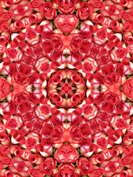 Obraz na płótnie Kaleidoscopic pattern of red roses