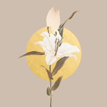 Obraz na płótnie Lily flower linear drawing in neutral