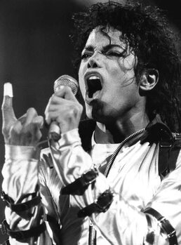 Obraz na płótnie MICHAEL JACKSON The King of Pop'