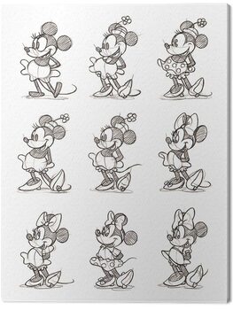 Obraz na płótnie Minnie - Multi