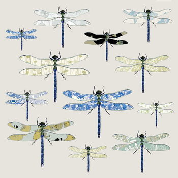 Obraz na płótnie Odonata, 2008