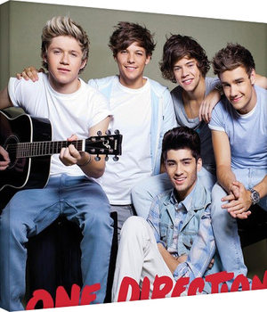 Obraz na płótnie One Direction - guitar