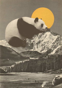 Obraz na płótnie Panda's Nap into Mountains