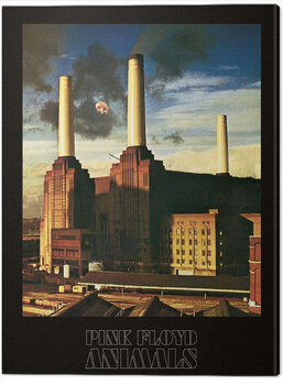 Obraz na płótnie Pink Floyd - Animal