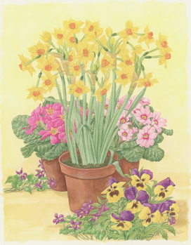Obraz na płótnie Pots of Spring Flowers, 2003