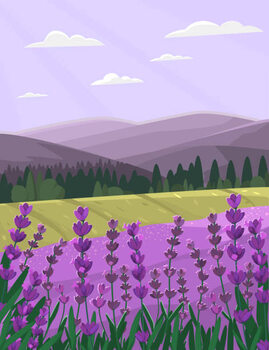 Obraz na płótnie Provence landscape with lavender field. Countryside