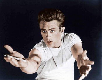 Obraz na płótnie Rebel Without A Cause directed by Nicholas Ray, 1955