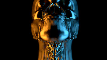 Obraz na płótnie Skeletal Face,  c.2015-2025