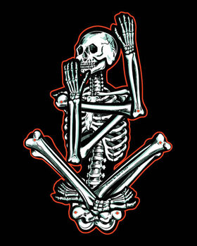 Obraz na płótnie Skeleton