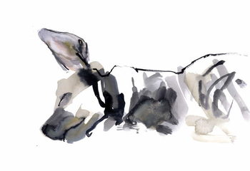 Obraz na płótnie Sleeping Hyaena, 2010,