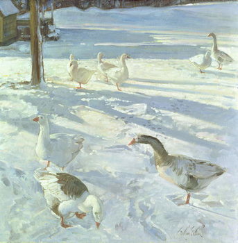 Obraz na płótnie Snowfeeders, 1999