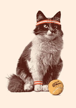 Obraz na płótnie Tennis Cat, 2021